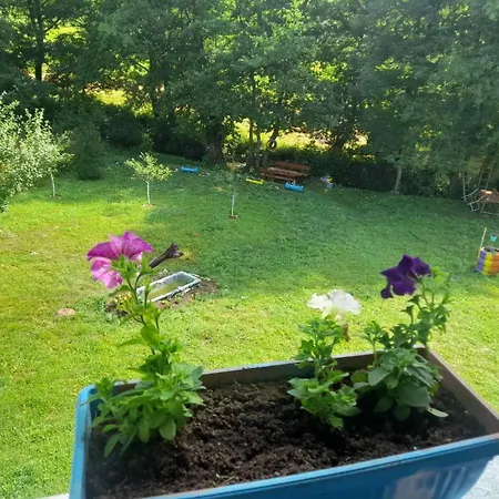 Nature House Ella Дом отдыха