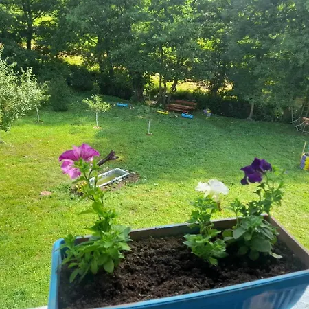 Дом отдыха Nature House Ella *
