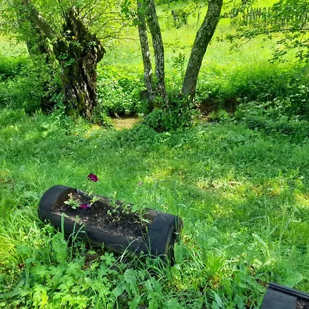 Nature House Ella Trnovo